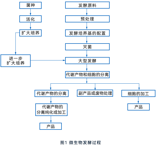 微生物發(fā)酵流程 微生物發(fā)酵流程