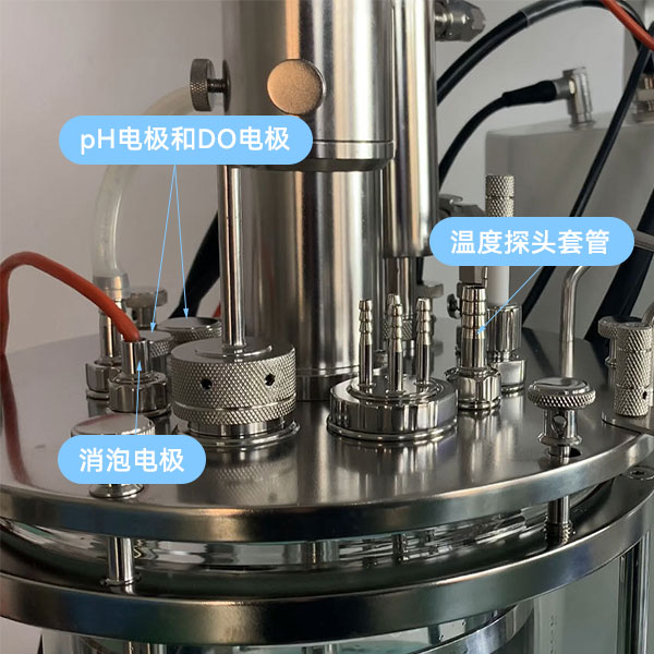 發(fā)酵罐傳感器 發(fā)酵罐傳感器